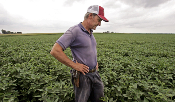 Farmer