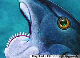 YIKES: Ancient 'Jaws' Sported Teeth Like Circular Saw