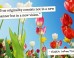 inspiring-quotes