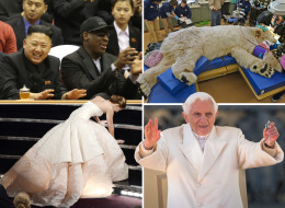 The Week In Photos - Vote On Your Favourite Picture