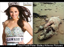 Miss Teen Delaware Porn Scandal vs. Beast Of Tenby: The Weird News Top 10 Showdown