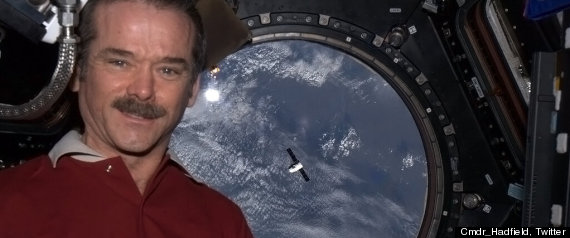Chris Hadfield Dragon