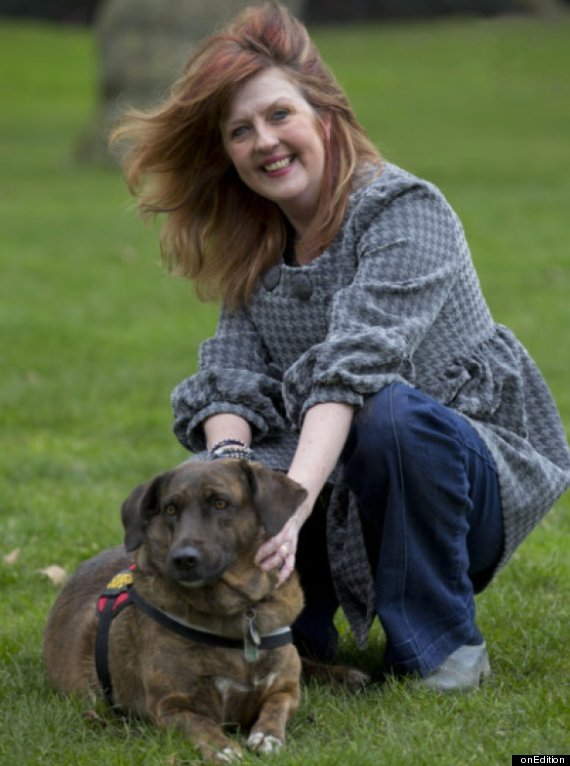 brin stray dog saves british soldiers
