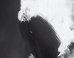 Hindenburg Mystery Solved After 76 Years?