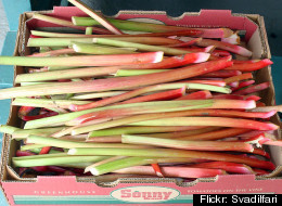 The Spring Foods We Are So Excited For