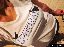 Who's Under Fire For Supporting PETA?