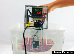 Sous Vide On The Cheap