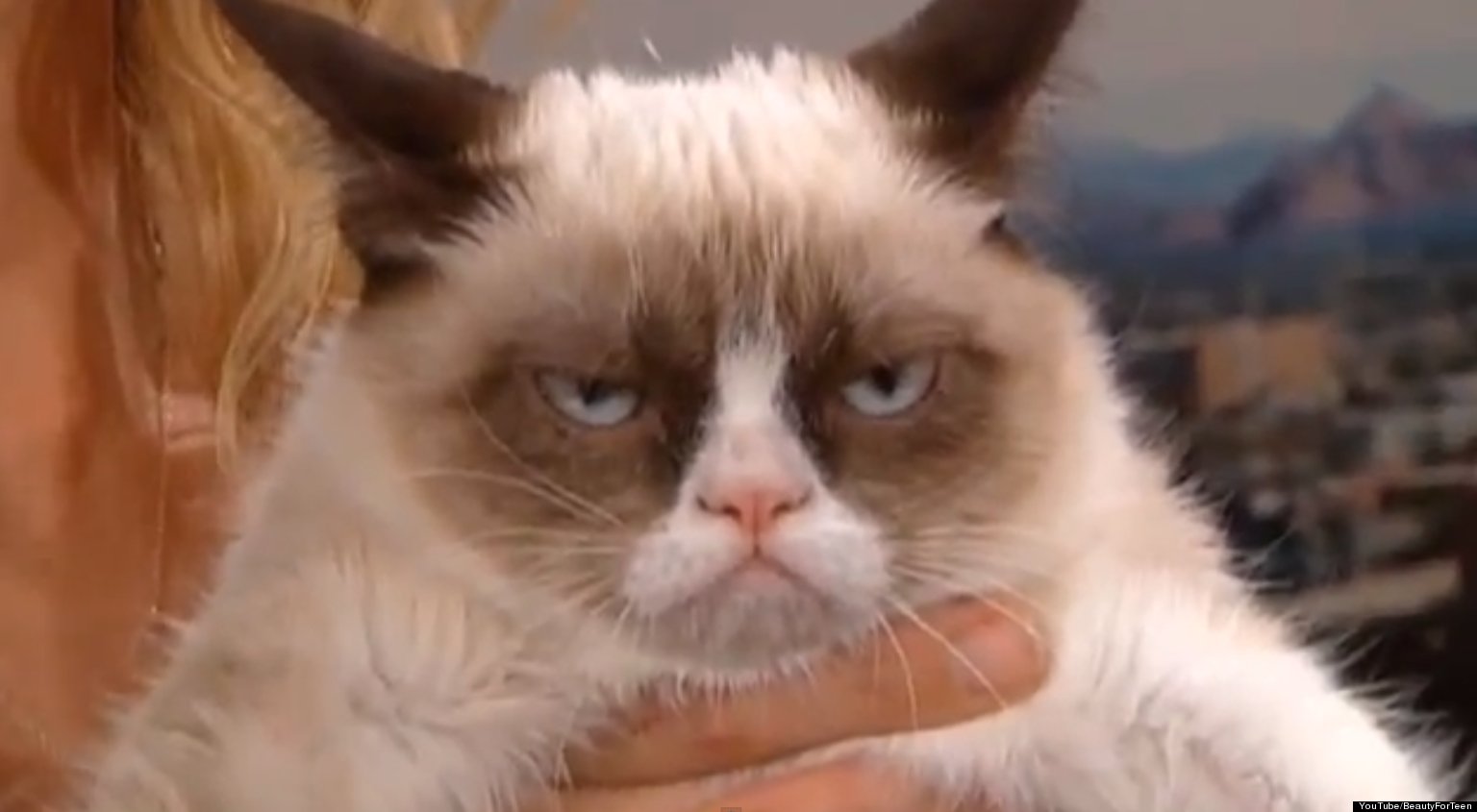 Grumpy Cat's SXSW Debut: Tard To Attend Festival, Will 