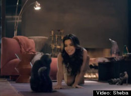 El baile sexy de Eva Longoria (mientras alimenta a un gato)