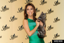 Erm, Eva Longoria Takes Her Pussy On The Red Carpet