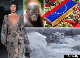 The Week In Photos - Vote On Your Favourite Picture