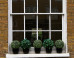 PHOTOS: Why We Love Windowsill Gardens