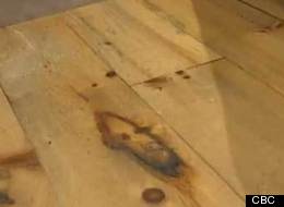 Jésus apparaît dans un salon de beauté
