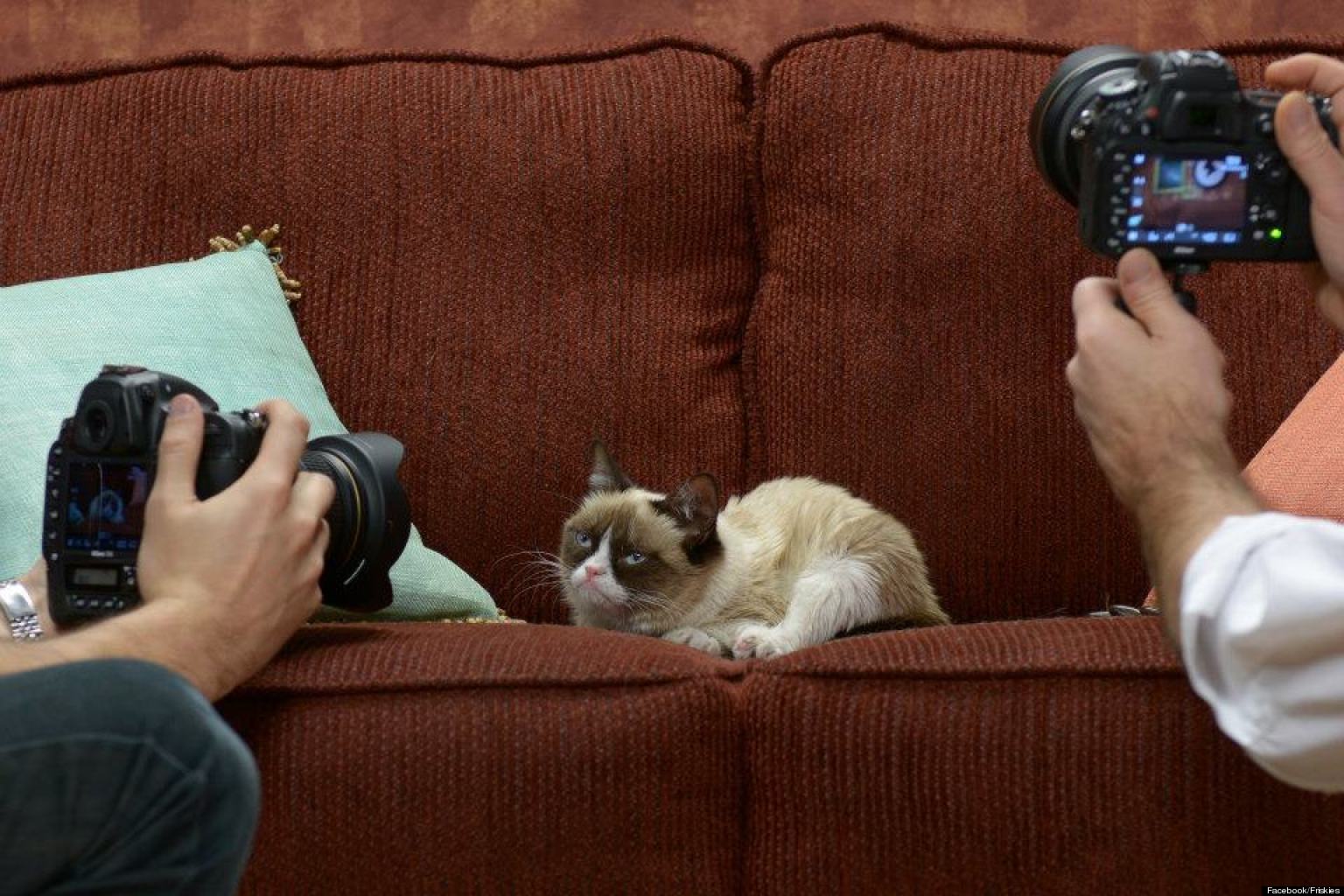 Behind The Scenes At Grumpy Cat's Photo Shoot For Friskies (PHOTOS