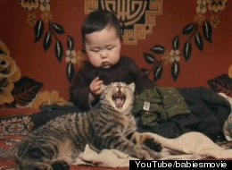 WATCH: Babies And Animals, A Cuteness Overload