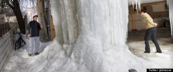 Icicle Saskatoon