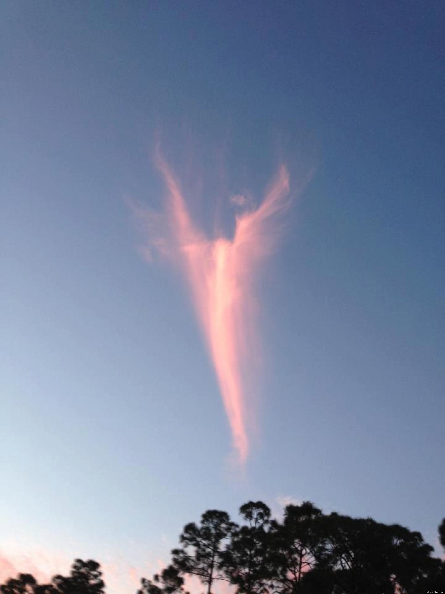 Angel Cloud Over Florida Heralds New Pope Francis I Pictures
