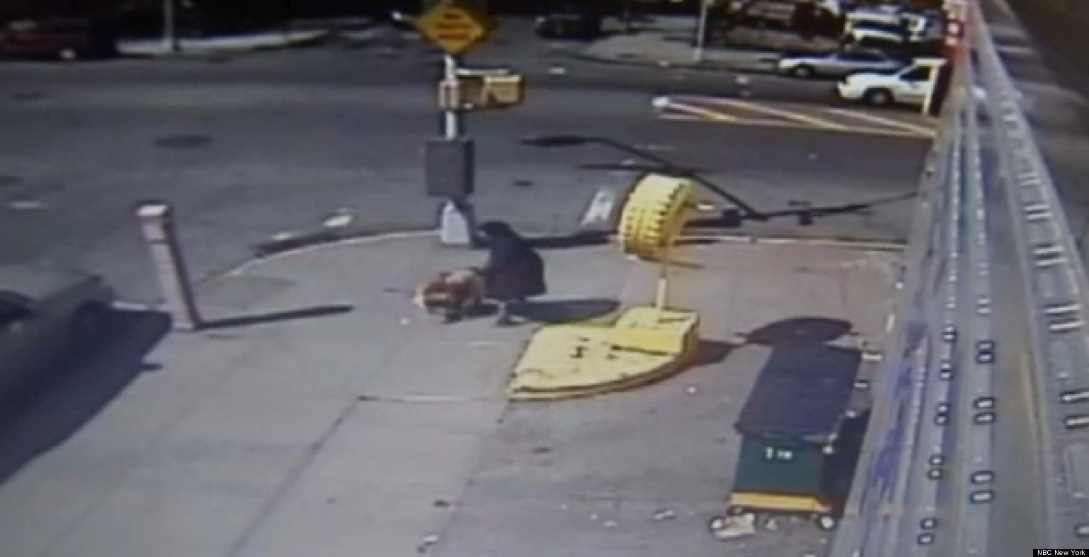Pit Bull Attack VIDEO: Dog Mauls Young Girl On The Street In The Bronx