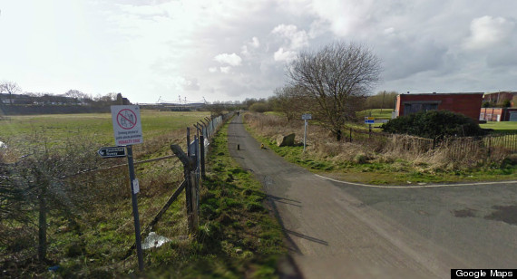 newhaylane