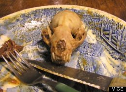 Elderly Man Eats Roadkill - Yeah, Even The Mangled Kind (VIDEO)