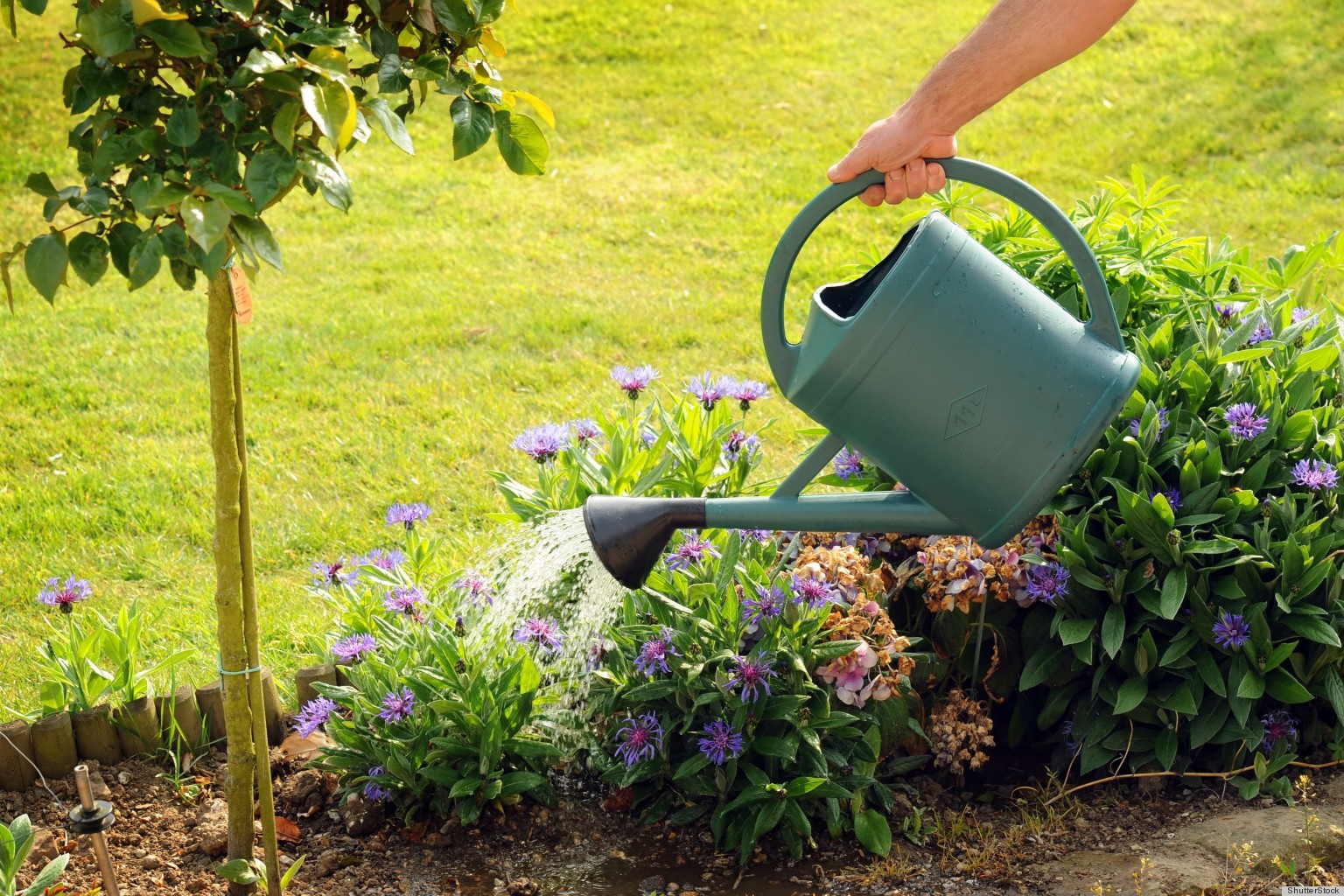Repurposing Idea Shows You How To Make A DIY Watering Can From A Milk Jug (PHOTOS) HuffPost