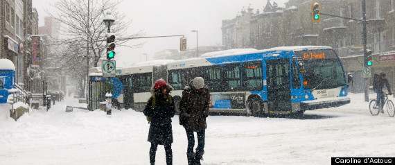 Stm Autobus Neige