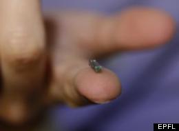 Cet implant pourrait vous sauver la vie
