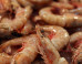 Thousands Of Dead Prawn Cover Chilean Beach