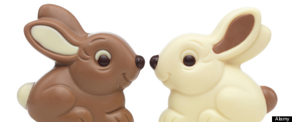 Cute Chocolate Bunny