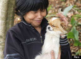 Two-Legged Dog Dian Dian Is Walking Tall 