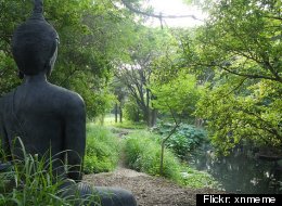 10 Tranquil Yoga & Meditation Retreats In India