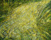 Hermann Lederle: Hermann Lederle on the ImageBlog March 21, 2013