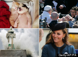 The Week In Photos - Vote On Your Favourite Picture