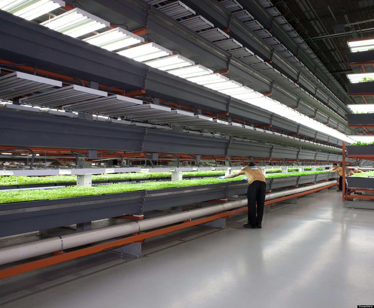 ... Nation's Largest Indoor Vertical Farm, Opens In Chicago Area (PHOTOS