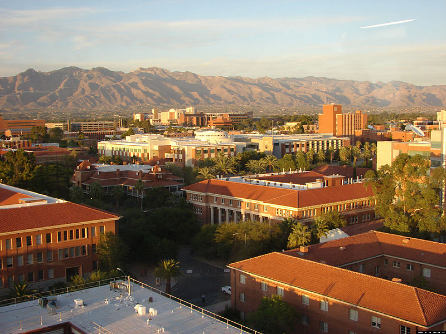 University Of Arizona Helps Transgender Studies Take A Bold Leap 