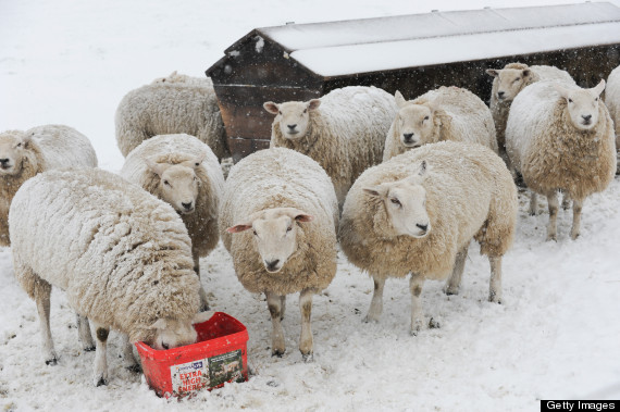 snow