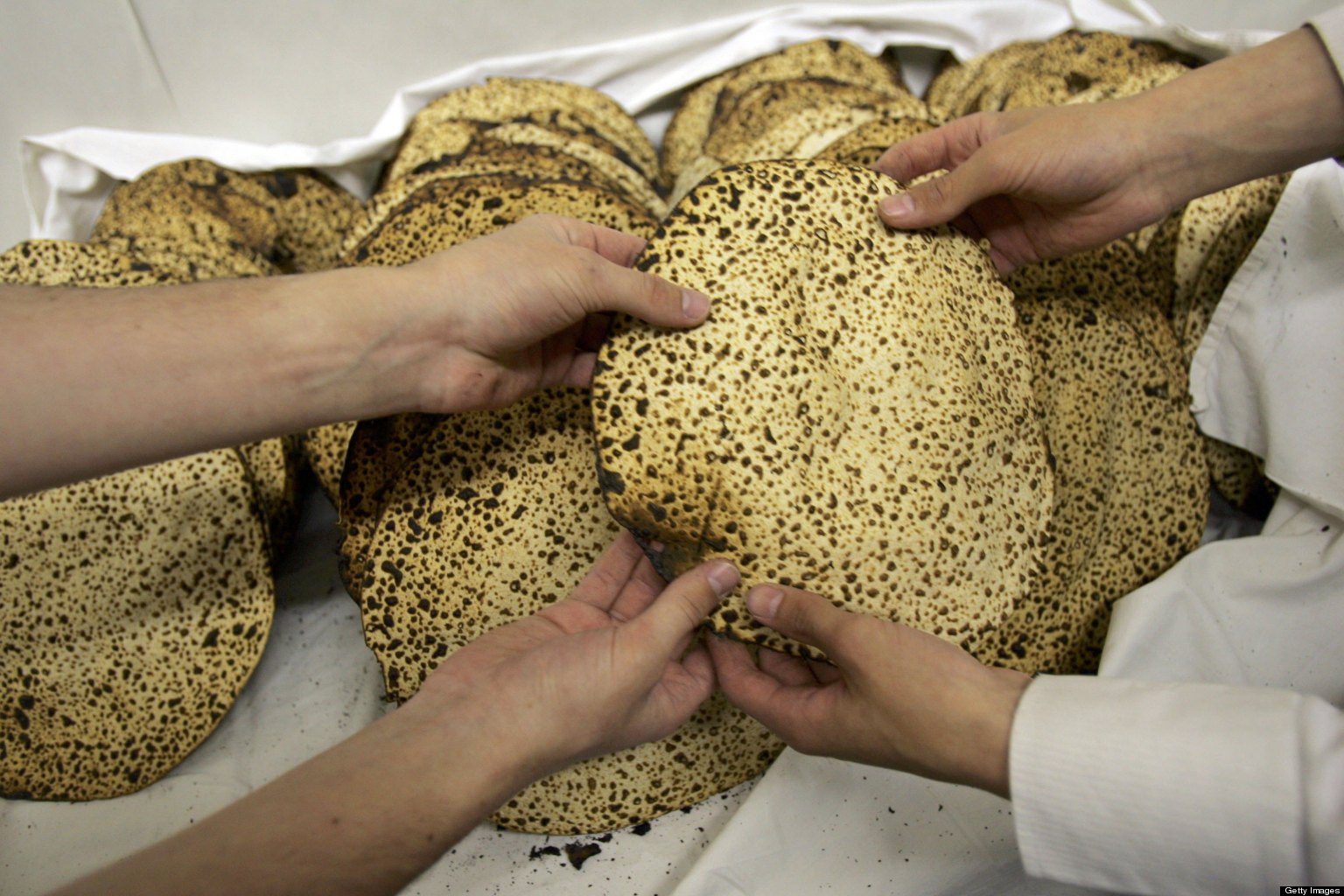 Matzah: Hope And Integrity