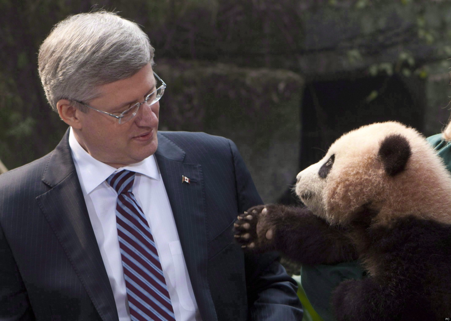 how i met your mother ted rencontre stella