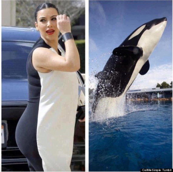 o-KIM-KARDASHIAN-FATSHAMING-570.jpg