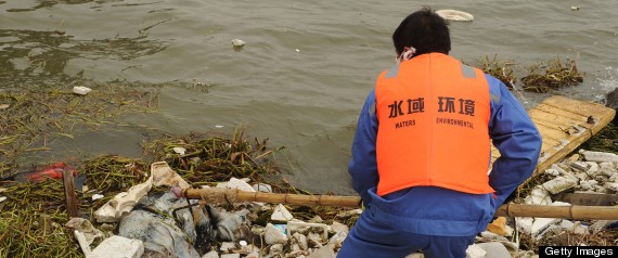 1,000 Dead Ducks Found In China's Nanhe River; Pig Carcass Count Continues To Rise R-CHINA-DEAD-DUCK-RIVER-large570