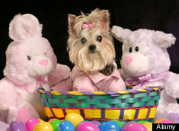 Where To Go To Find Some Easter Eggs