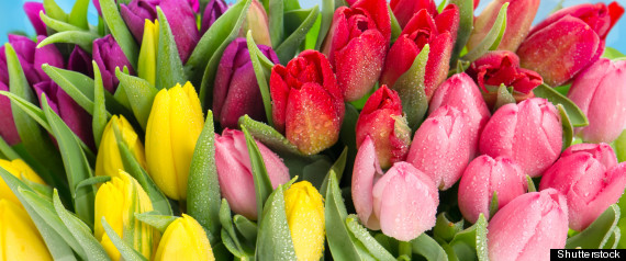 Easter Quotes: 10 Sayings To Celebrate Renewal This Spring Easter Quotes: 10 Sayings To Celebrate Renewal This Spring