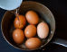 egg-recipes
