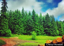 Your Weekly Travel Zen: Germany