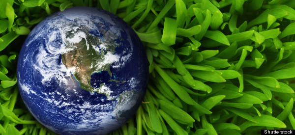 Non M. Brassard, l'écologie n'est pas une religion!