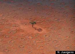 African 'Fairy Circle' Mystery Solved