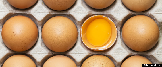 Egg Yolk Health