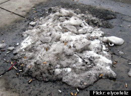 SNIRT! And Other Only In Canada Spring Moments