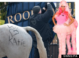 Katie's Willy Wonka Wedding