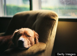 <em>Beditation 101</em>: Best Practices For A Perfect Slumber